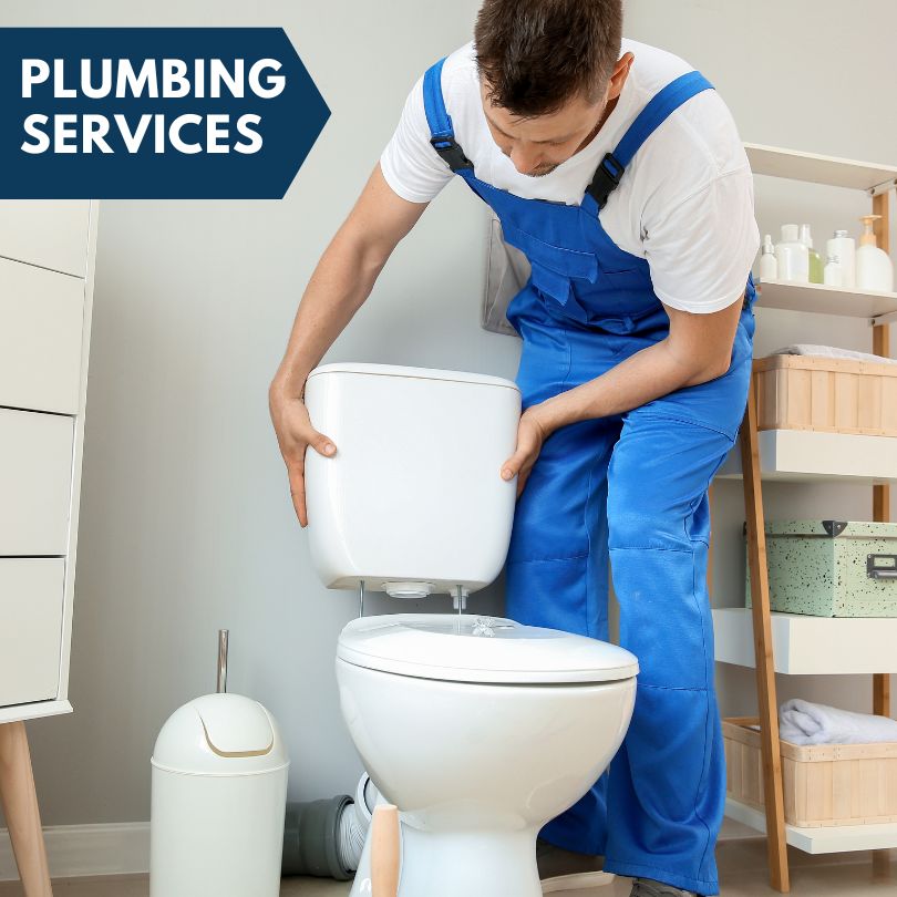 Plumbing Company in Schroeder, MN